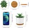 Mini Artificial Agave Succulent in Ceramic Pot with Bamboo Tray – Faux Small Potted Plant for Home Office Desk, Living Room, Shelf & Modern Decor (5.9")